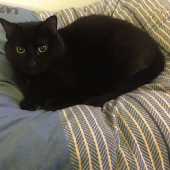 Meet your Posher, M - Picture 1 of 1